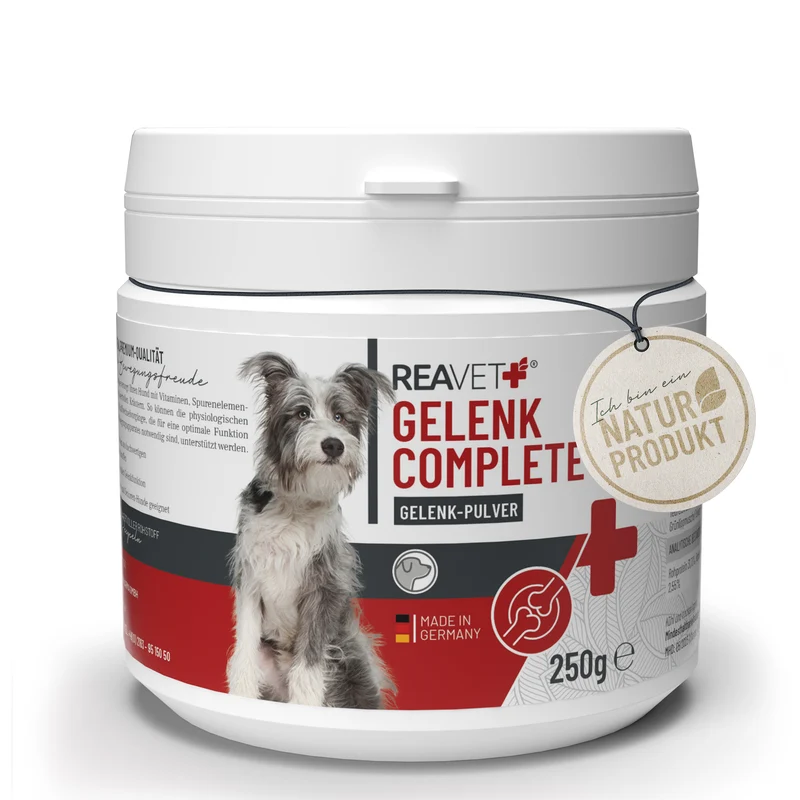 Gelenk Complete