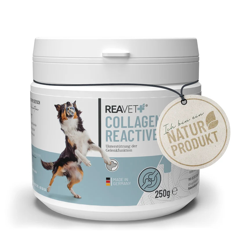 Collagen Reactive
