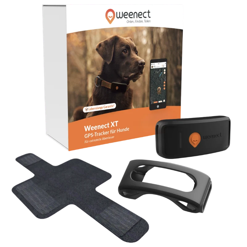 Weenect GPS Tracker XT Dog
