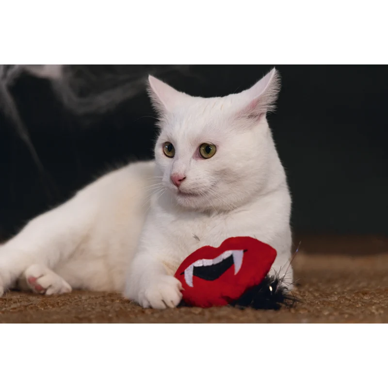 Beeztees Halloween Dracula Spielzeug für Katzen – 20x10x3 cm Katzenspielzeug
