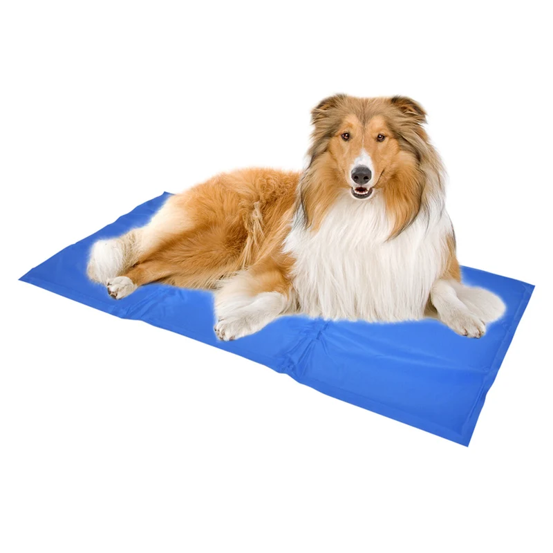 Duvo+ Kühlmatte für Hunde Blau – Die perfekte Erfrischung für deinen Liebling im Sommer