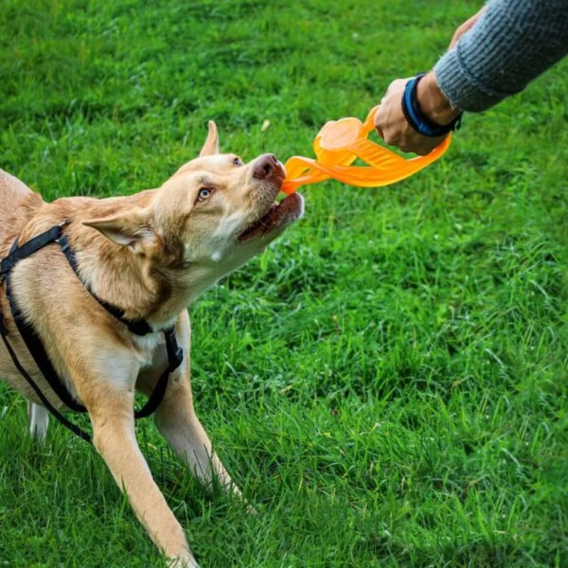 Bionic TOSS-N-TUG® langlebiges Hundespielzeug