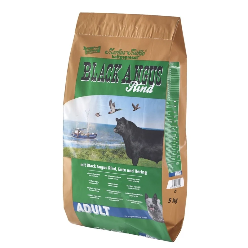 Black Angus Adult