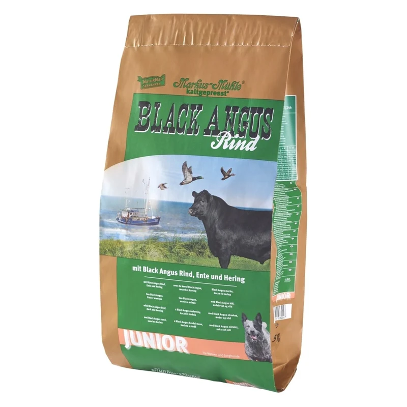 Black Angus Junior