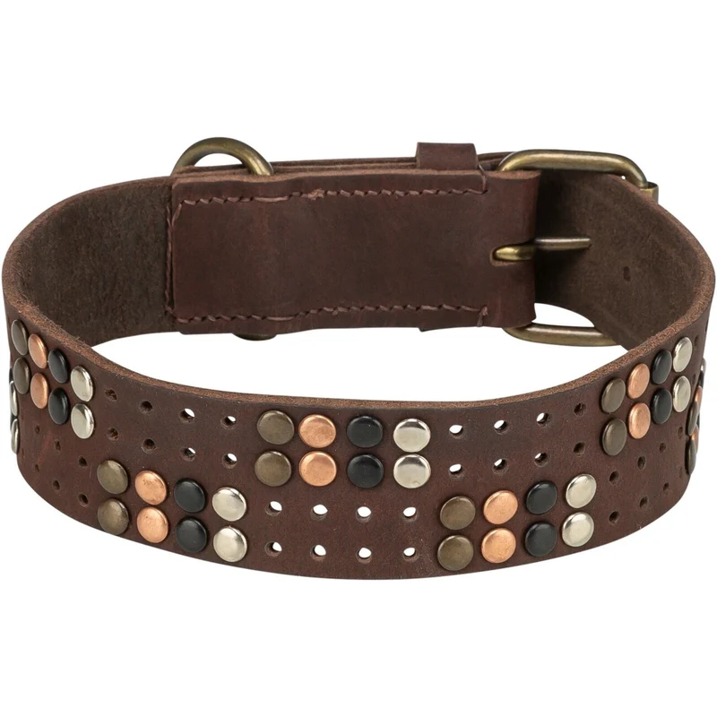 Rustic Fettleder Hundehalsband mit Nieten