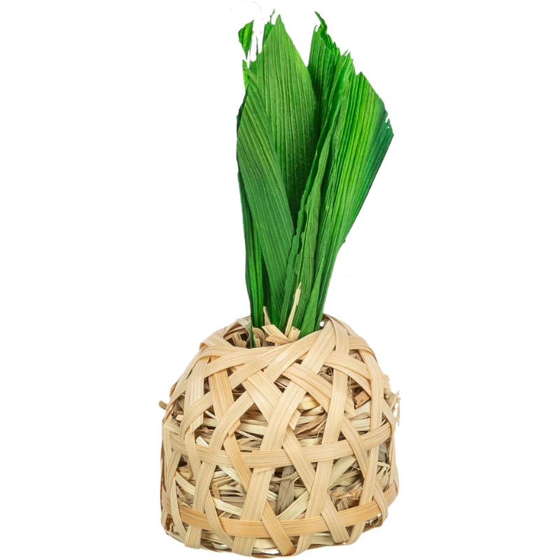 TRIXIE Ananas, Bambus mit Maisblättern und Heu