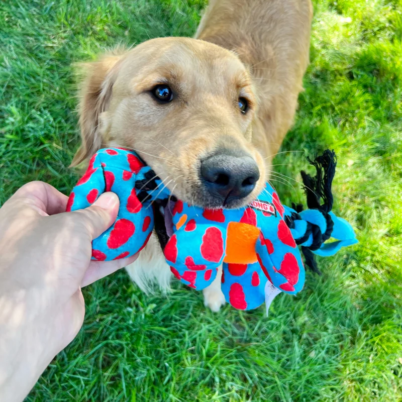 KONG Signature Dynos – Plüsch-Dino-Hundespielzeug mit Filzseil & Quietscher