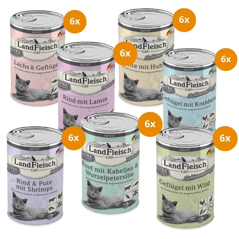 LandFleisch Probierpaket 400 g – Gourmet Mix (7 Sorten)