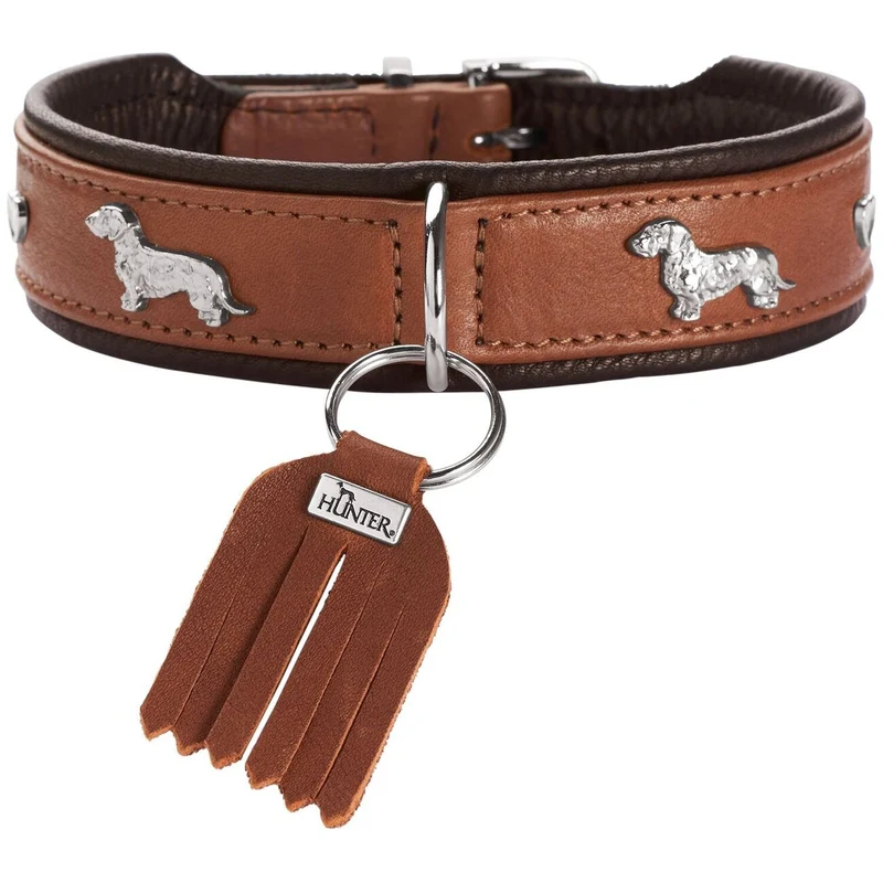 Teckel Halsband München