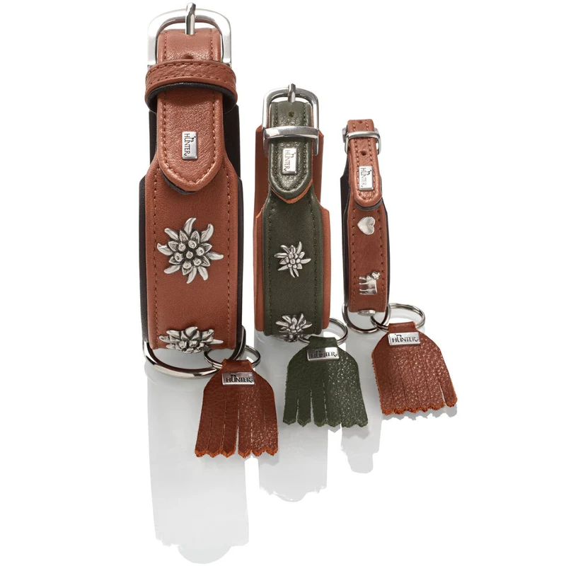 Halsband München für Hunde