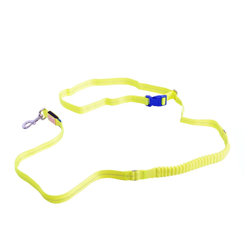 Hunde Joggingleine Mit Led Licht USB