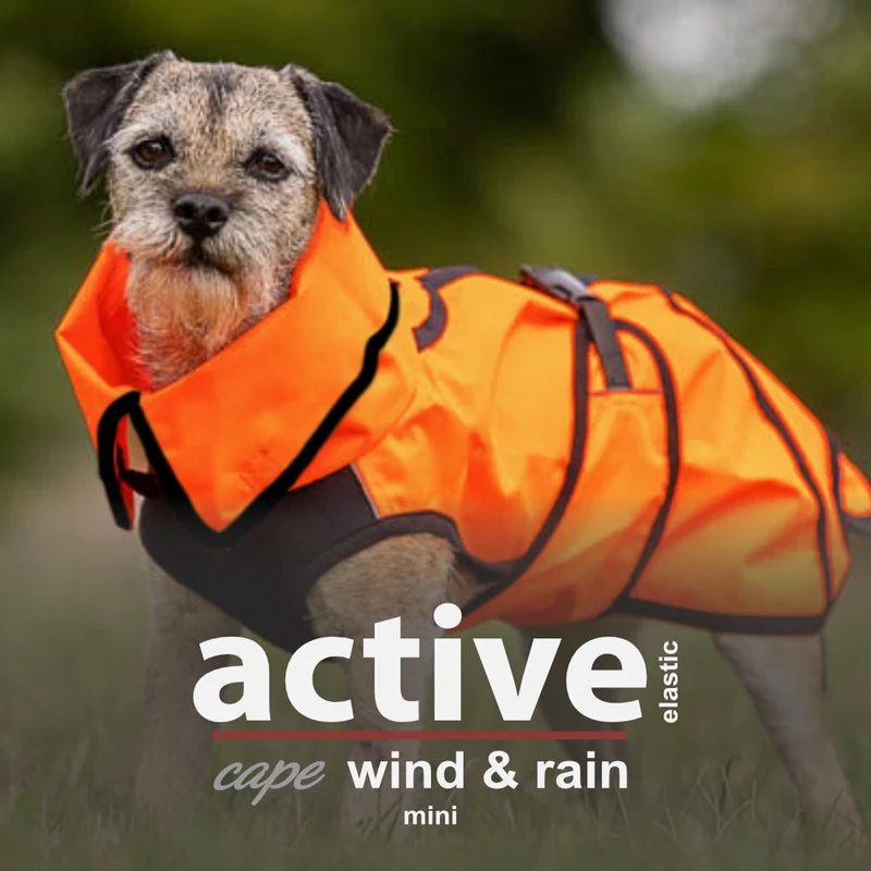 Hundejacke Active Cape Wind and Rain Mini