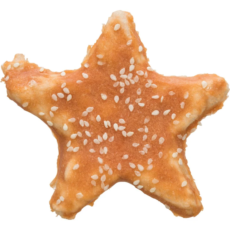 Denta Fun Chicken Star