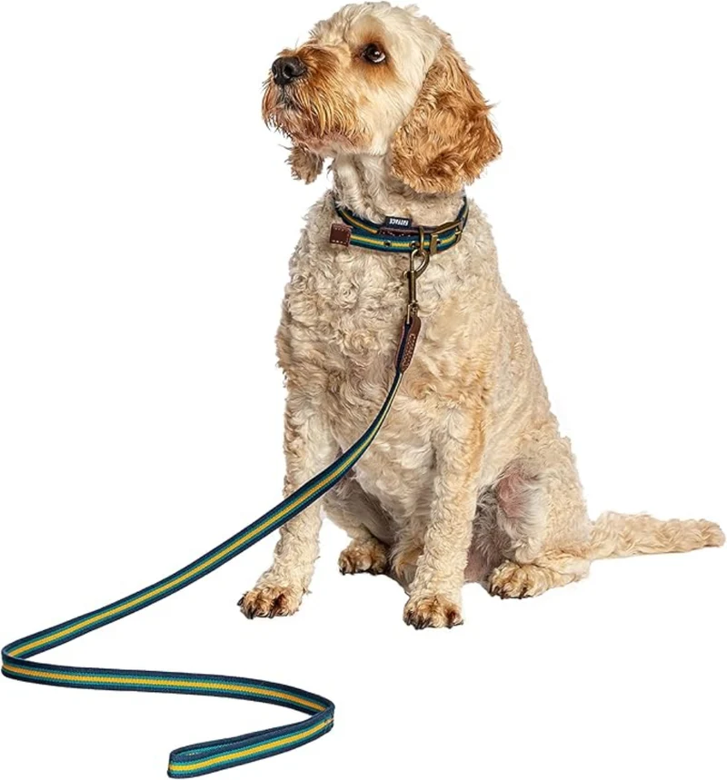 Danish Design FatFace Bold Stripe Woven Dog Lead With Metal Buckles