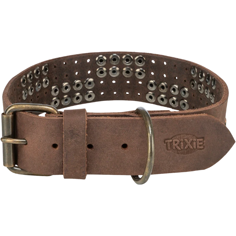 TRIXIE Rustic Fettleder-Halsband Nieten, extra breit