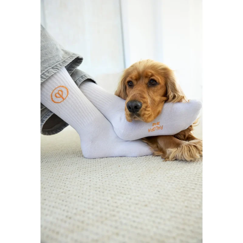 PALOPA TENNIS SOCKEN 3ER SET - LOGO, ORANGE BLUE GREY