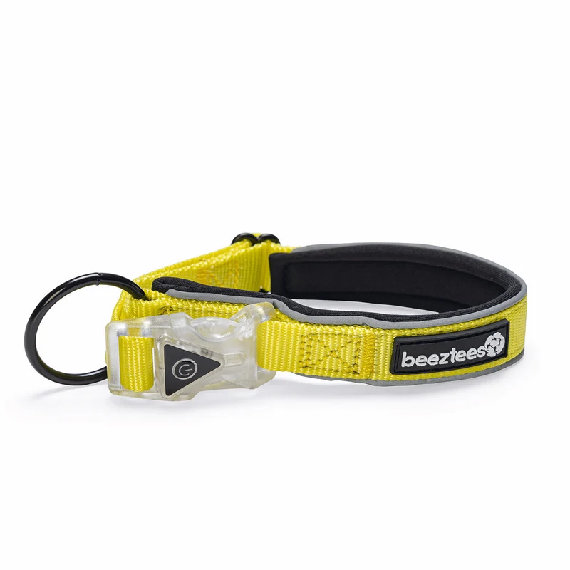 Blinkendes Halsband Parinca Premium