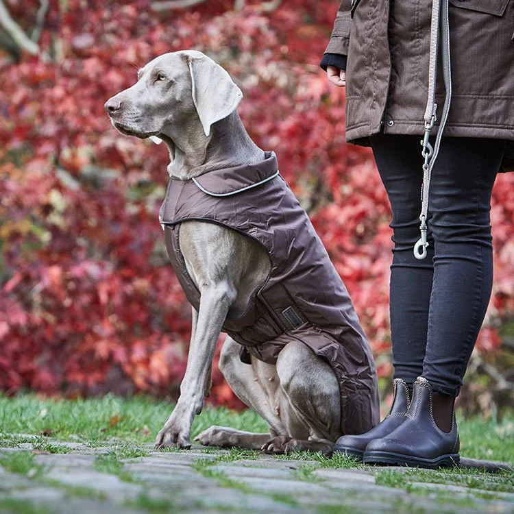 Outdoorjacke Jack für Hunde
