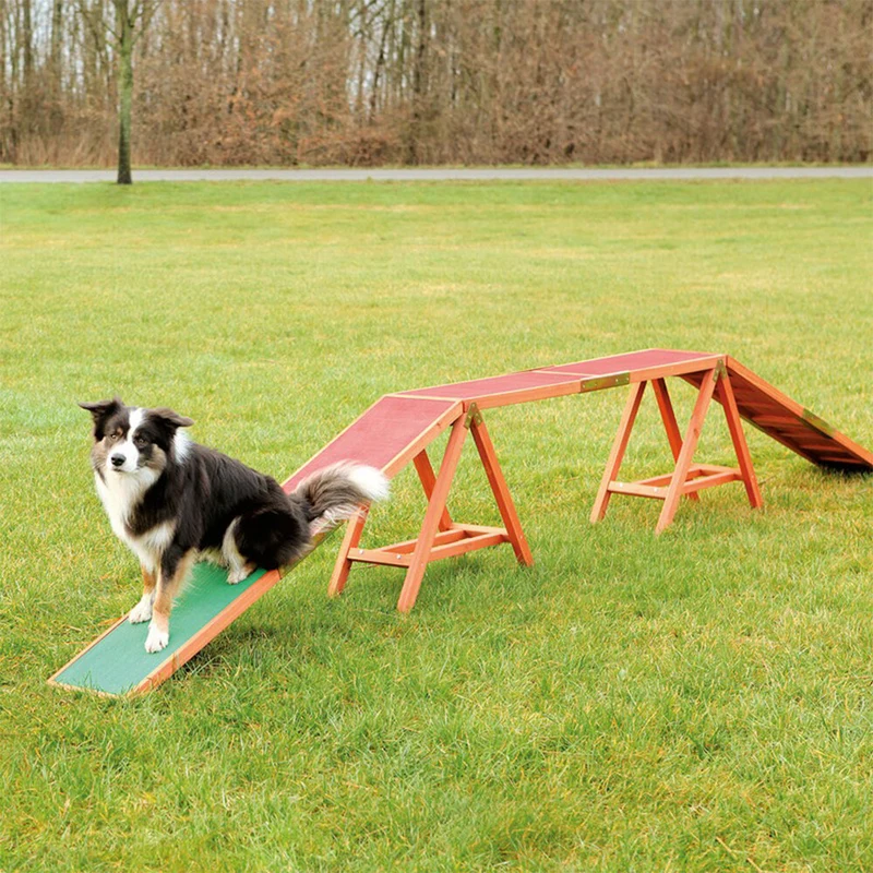Agility Steg