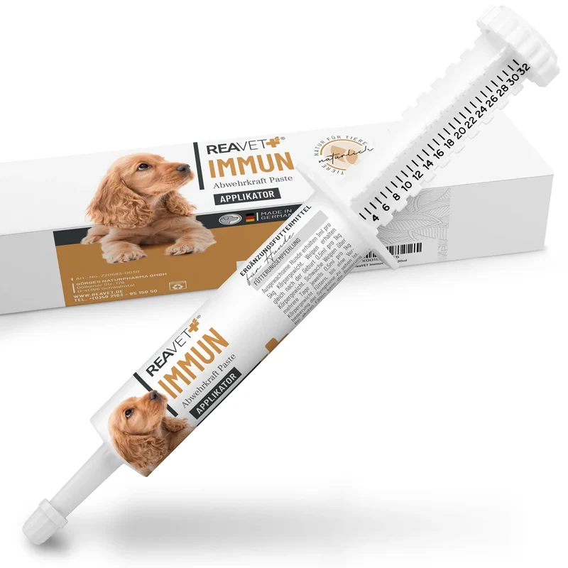 Immun Abwehrkraft Paste