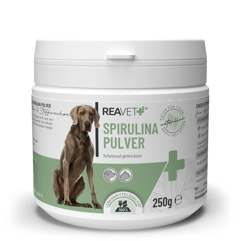 Spirulina Pulver