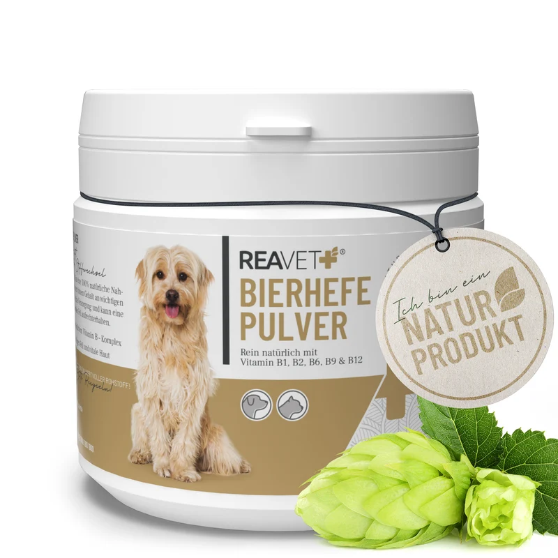Bierhefe Pulver
