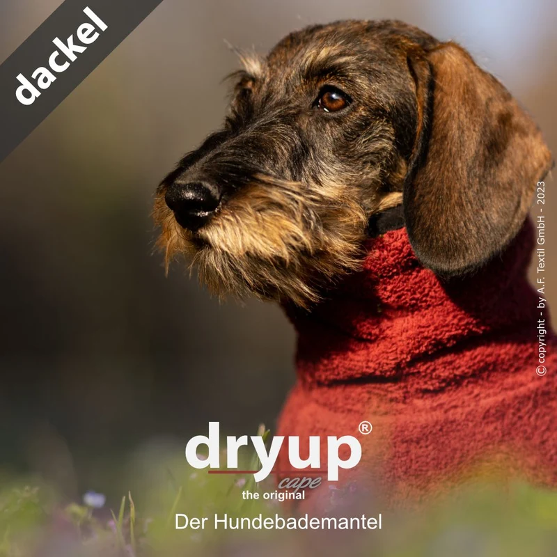 Dryup Cape Hundebademantel Dackel Bordeaux