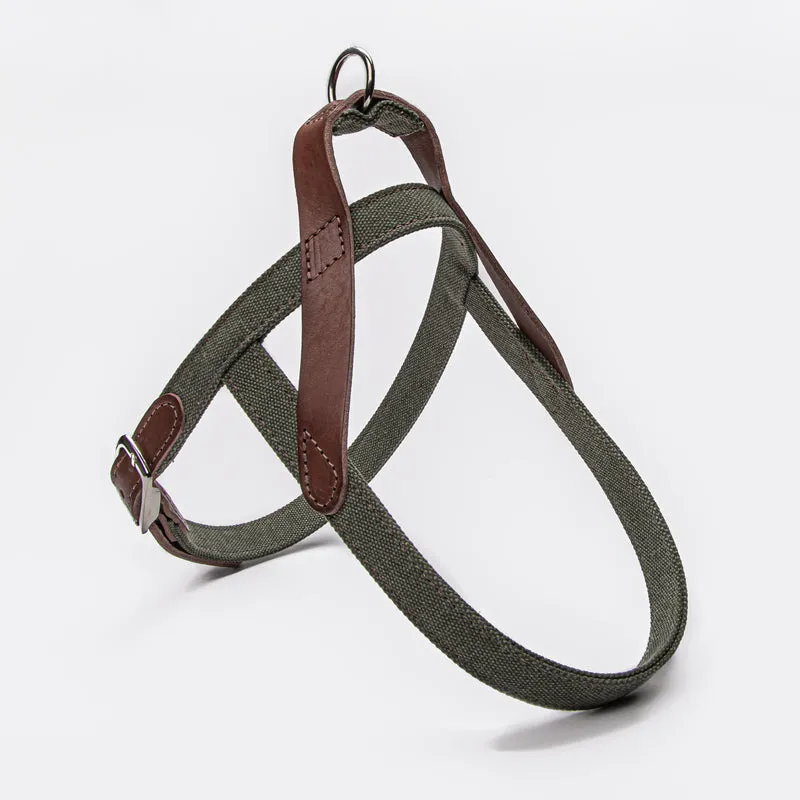 Geschirr Tivoli Olive