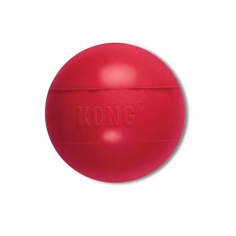 KONG Ball Rot