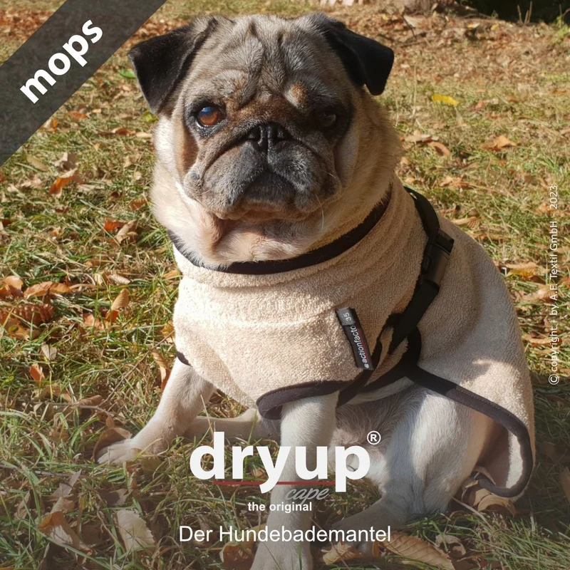 Dryup Cape Hundebademantel Mops und Bulldogge Sand