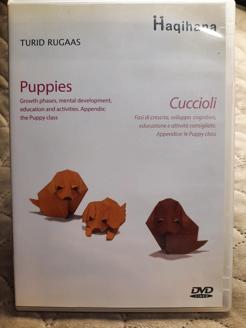 DVD Puppies