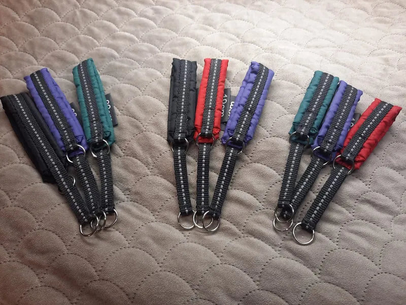 MINI Collar with Reflective Strips, 2.5cm Wide