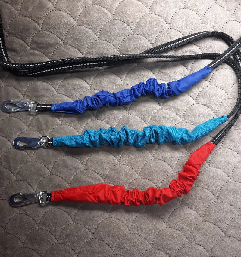 Integrated Leash for Small Dogs- with reflective strips