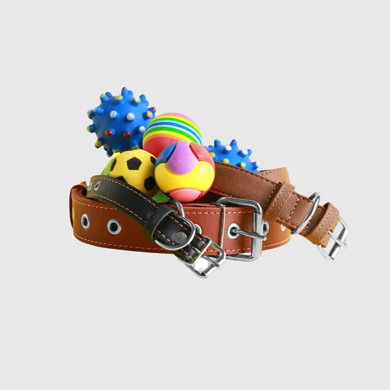 No pull dog harness and toys