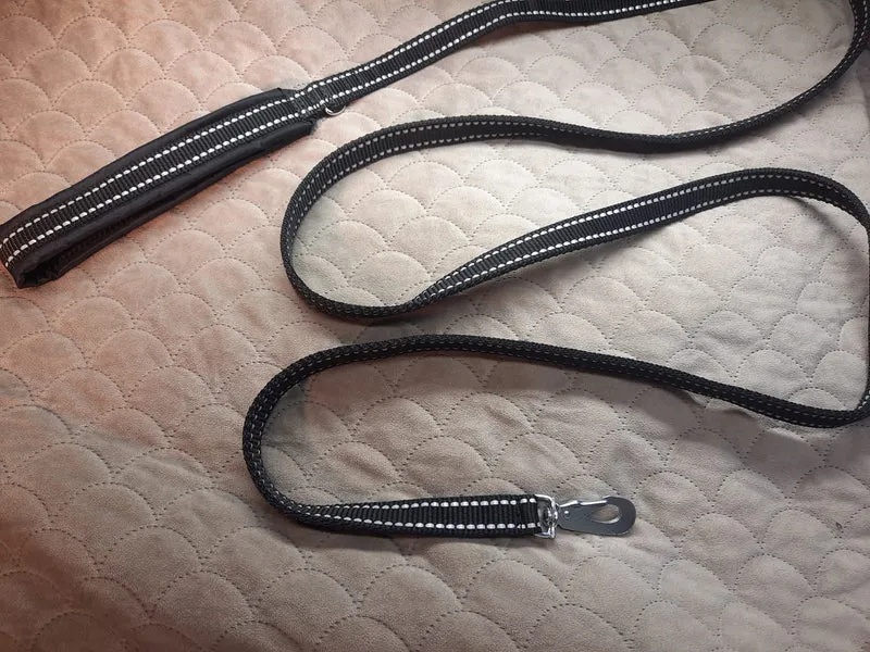 Happy Dog Leash – 2cm Wide with Reflective Stripes