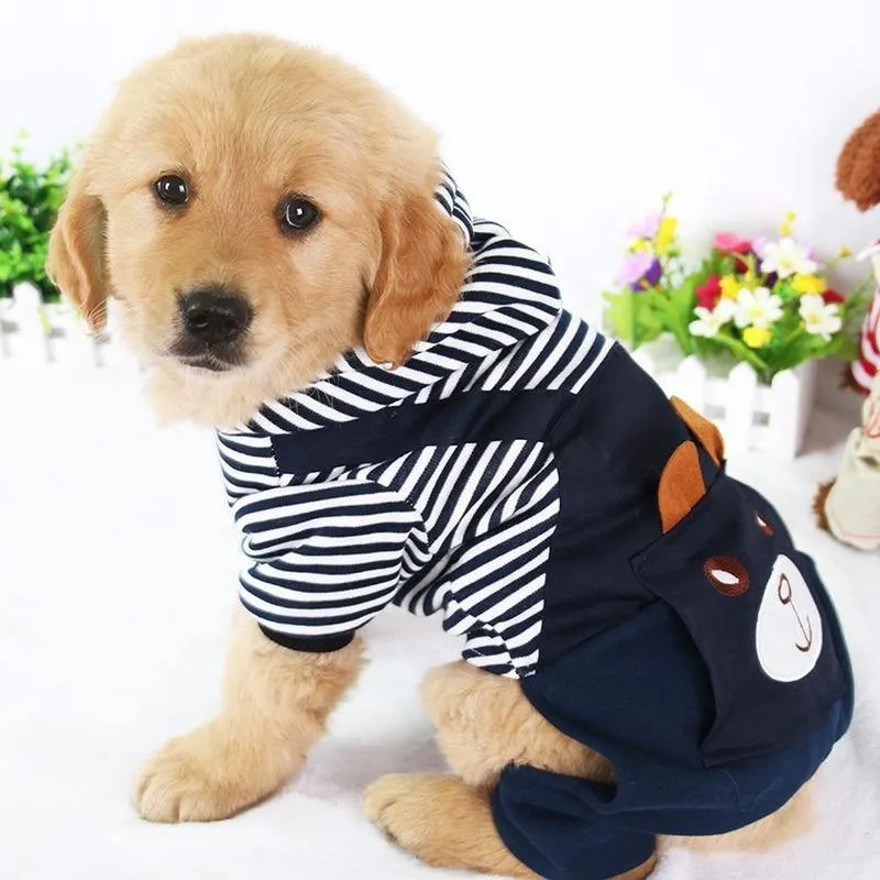 Fashion Pet Dog