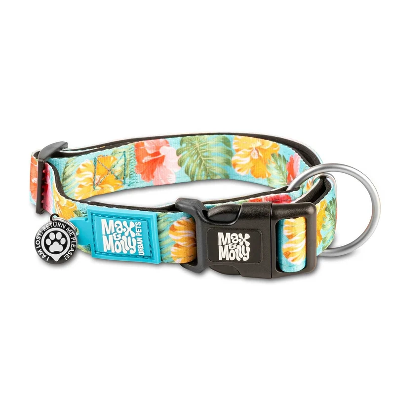 Exotique Hundehalsband mit Smart ID