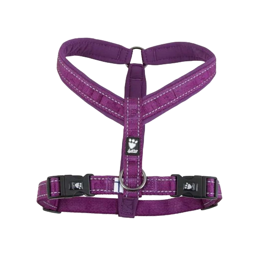 [Räumungsverkauf] Casual Y-Hundegeschirr violett - 2XL (88 – 100 cm)