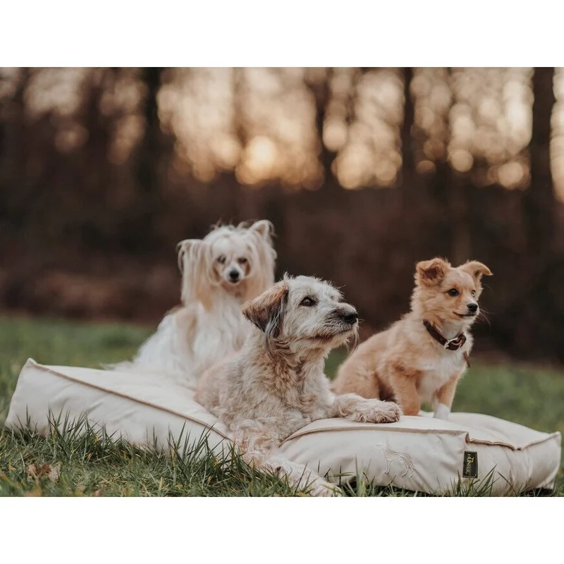Outdoor Hundekissen Ribe