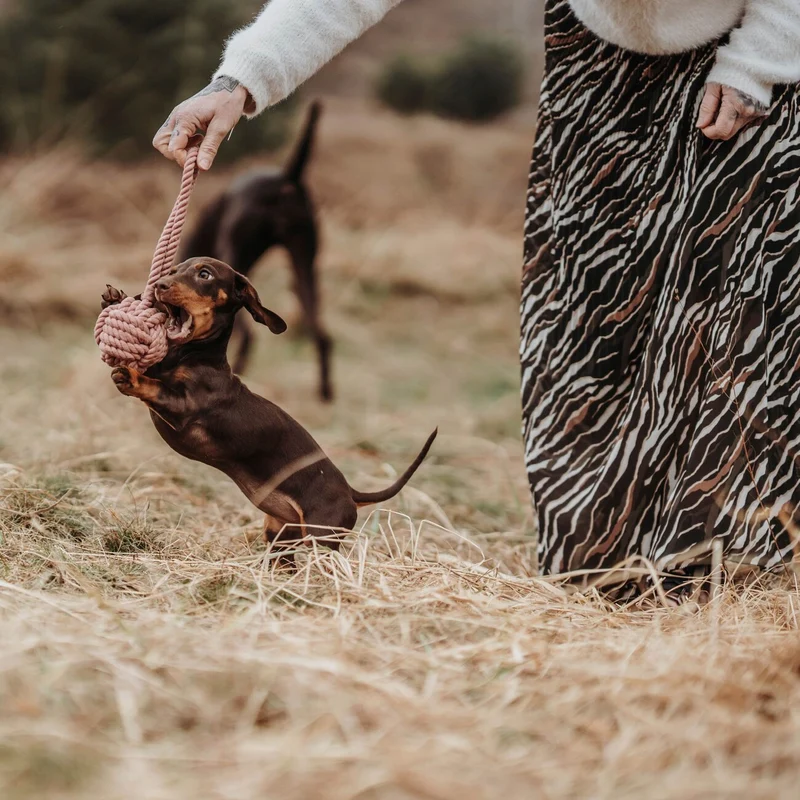 Schleuderball Inari für Hunde