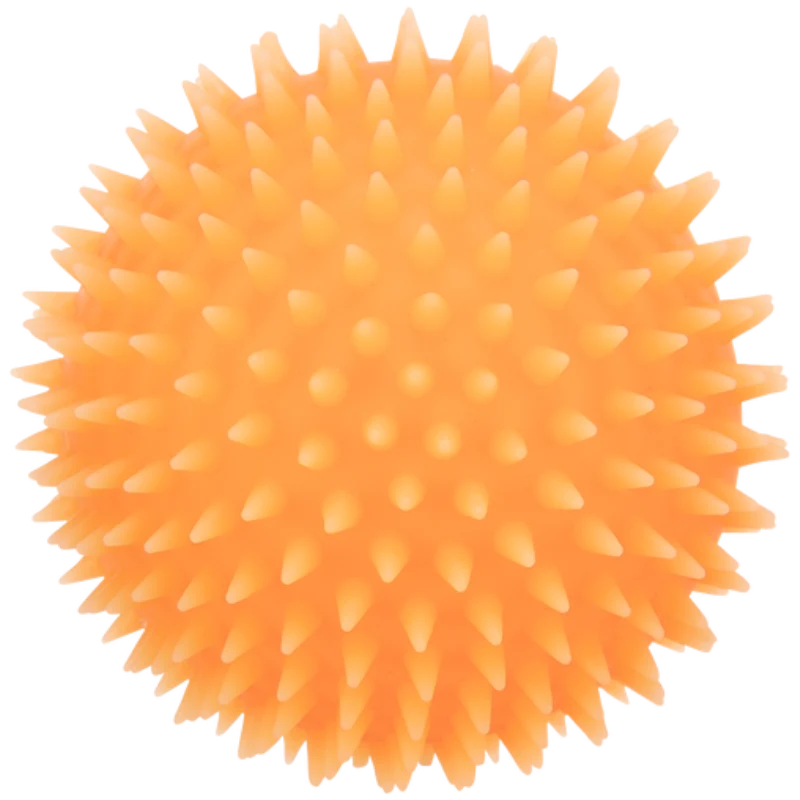 TRIXIE Igelball für Hunde