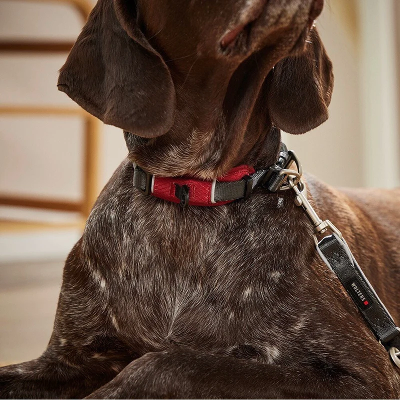 Wolters Halsband für Hunde Active Pro Comfort