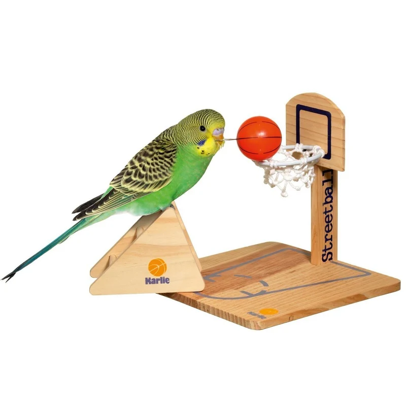 Streetball Vogelspielzeug