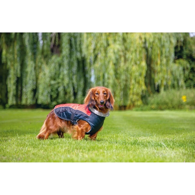 Hundemantel Saby