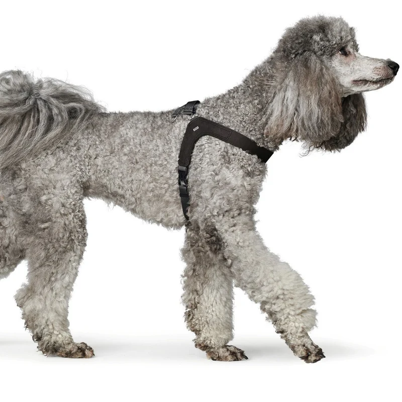 Hundegeschirr Leder Dimaro