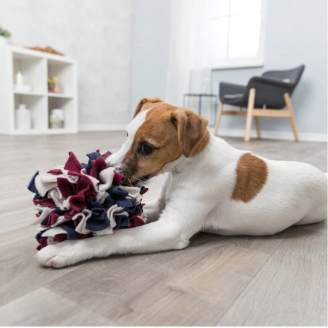 Dog Activity Schnüffelball aus Stoff für Hunde