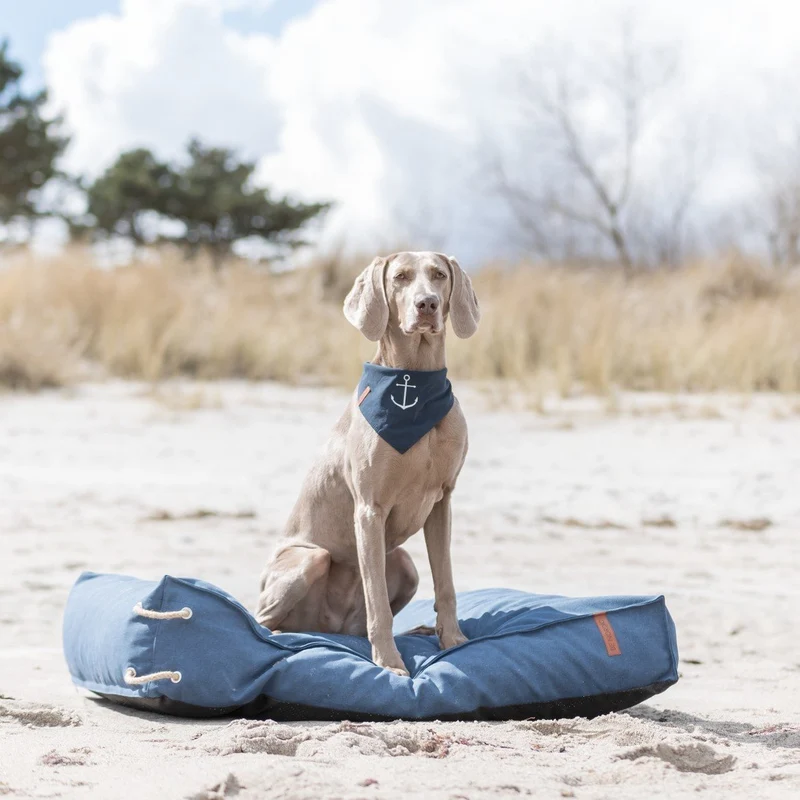 Be Nordic Hunde Halstuch