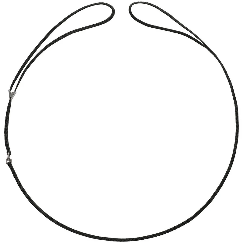 Vorführleine mit integrierter Halsung