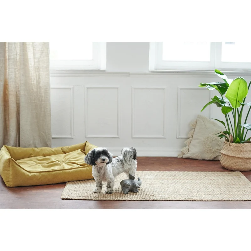 Hundesofa Eiby