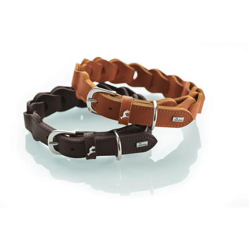 Hundehalsband Solid Education Chain